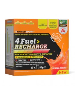 4 FUEL RECHARGE 14 BUSTINE