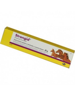 STRONGID 152mg/g vermifugo in pasta per Cavalli 