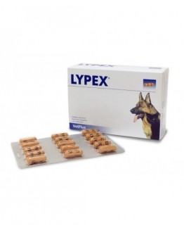 VETPLUS LYPEX 60 Capsule