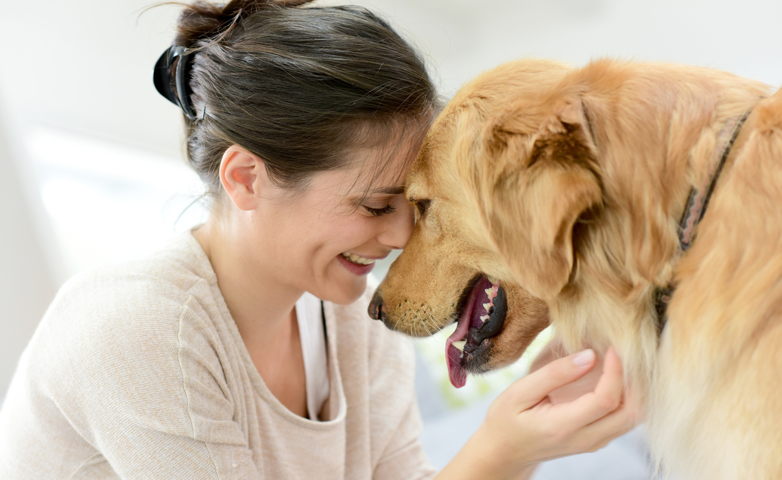 Come migliorare l'alito del cane? Guida ai rimedi più efficaci 