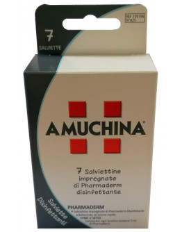 AMUCHINA SALVIETTINE DISINFETTANTI