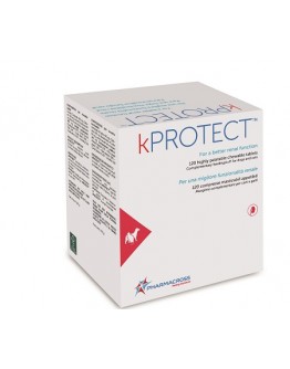 KPROTECT 120 Cpr mast.