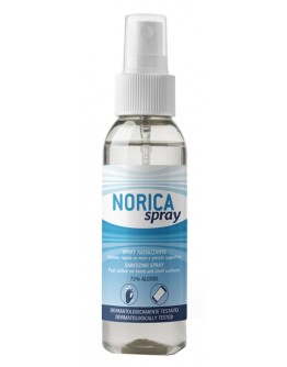 NORICA Spray Igienizz.100ml